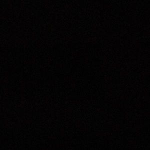 Meet your Posher, Sylvia